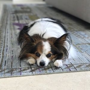 Meet your Posher, Elizabeth